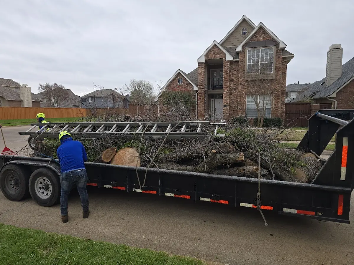 Expert Tree Removal with proper safety equipment in Germfask